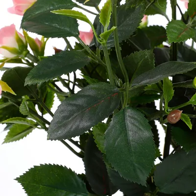Mica Decorations Decorations Rosal Planta Artificial en Maceta Stan Rosa, Ø25 cm - 1 unidad – foto 1