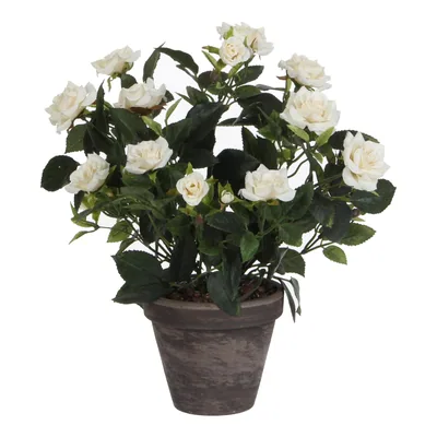 Mica Decorations Decorations Rosal Artificial en Maceta Stan Blanco, Ø25 cm