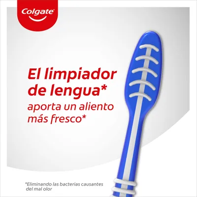 Colgate Cepillo de dientes Extra Clean medio CP21509 - pack de 12 unidades – foto 4