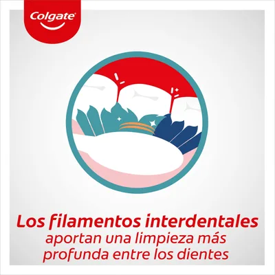 Colgate Cepillo de dientes Extra Clean medio CP21509 - pack de 12 unidades – foto 2