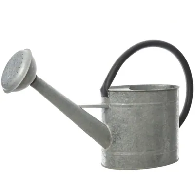 Decoris 83300 regadera de zinc 5 litros