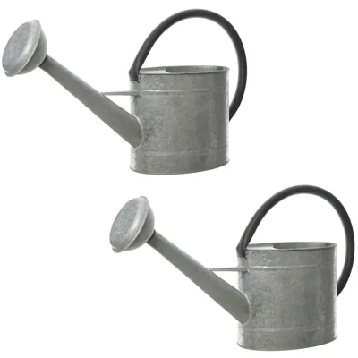 Decoris 83300 regadera de zinc 5 litros - 1 unidad – foto 3