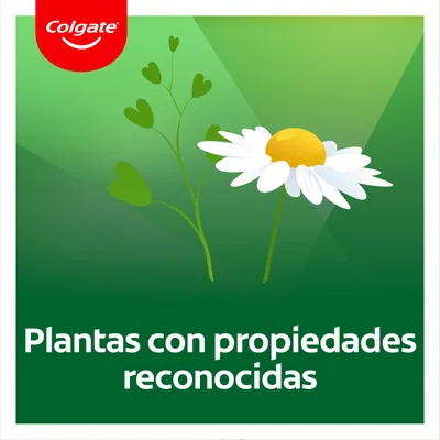 Colgate Herbal pasta de dientes con hierbas naturales 75 ml - pack de 6 unidades – foto 3